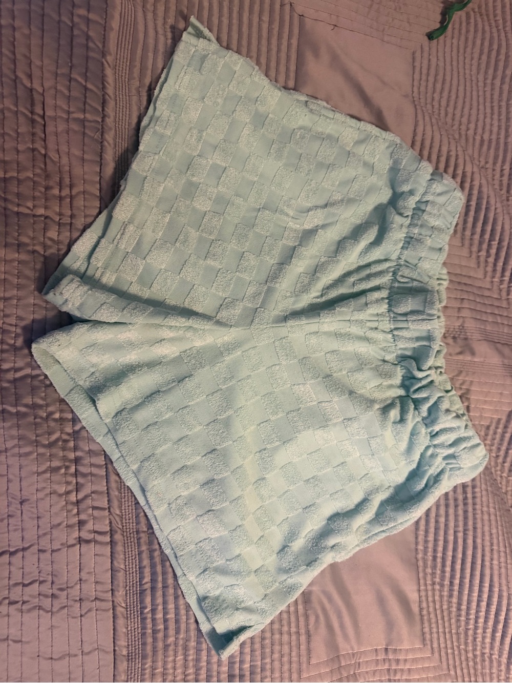 Xhilaration Mint Terry Lounge Shorts